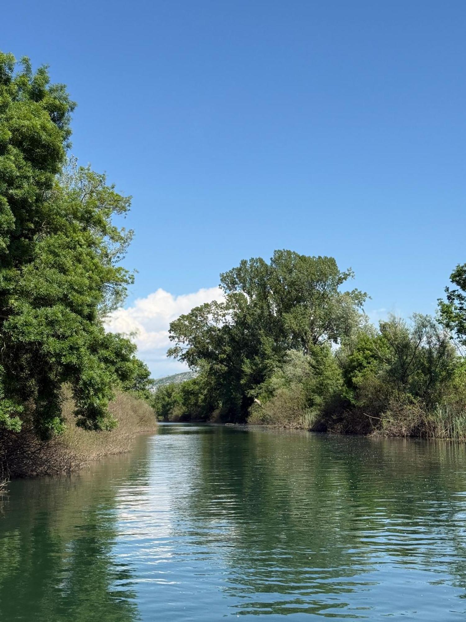 Lake Skadar Paradise Dodosi 外观 照片