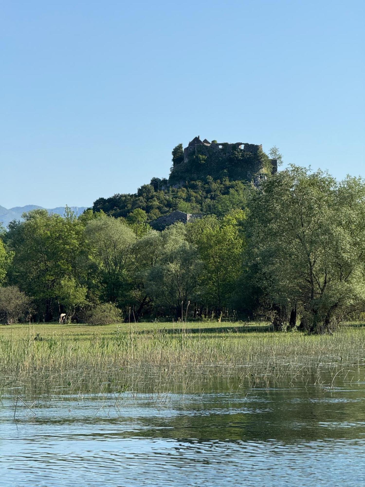 Lake Skadar Paradise Dodosi 外观 照片